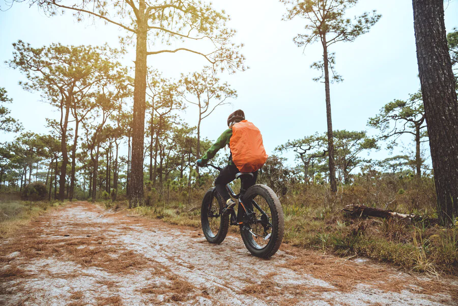 pourquoi le fat bike electrique est ideal pour tous les niveaux de pratiquants